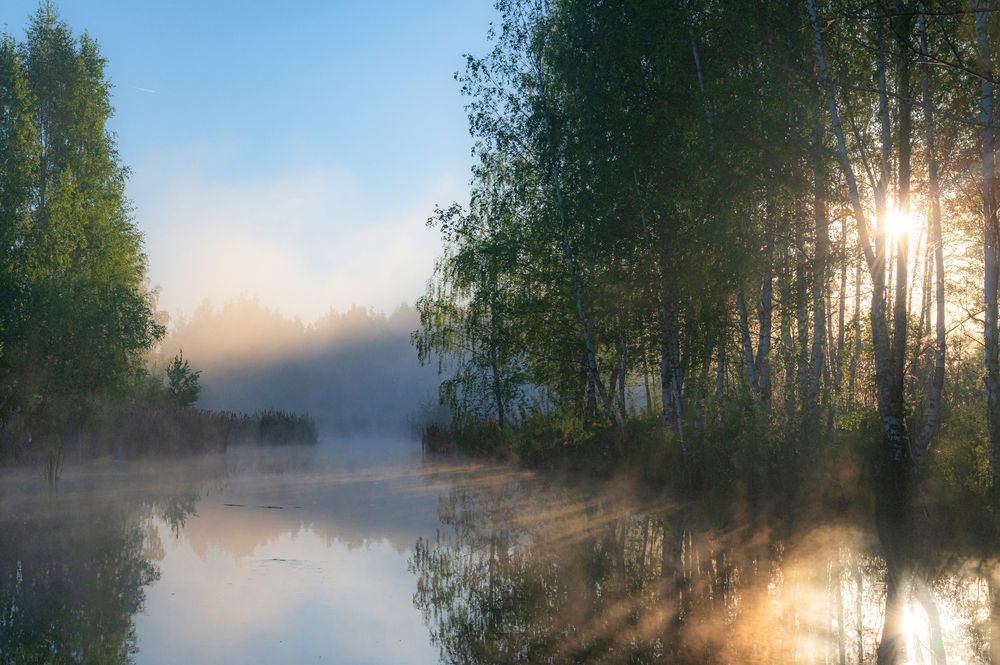Photograph by Алексей