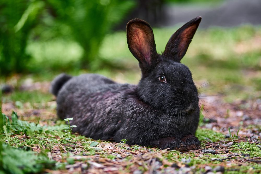 Фотография автора Игорь Игоревич