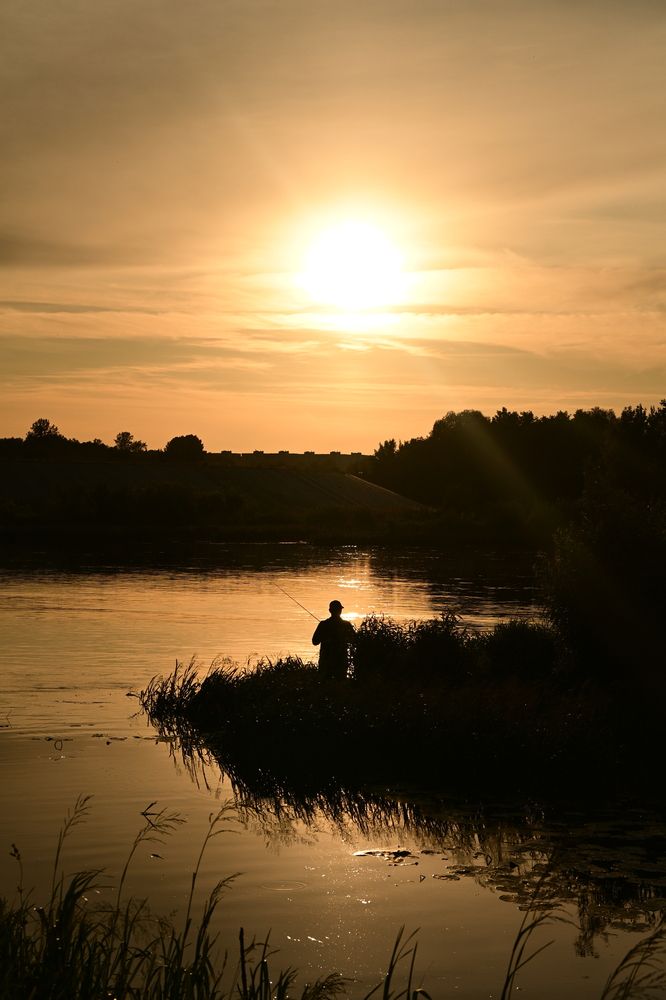 Photograph by Егор Жук