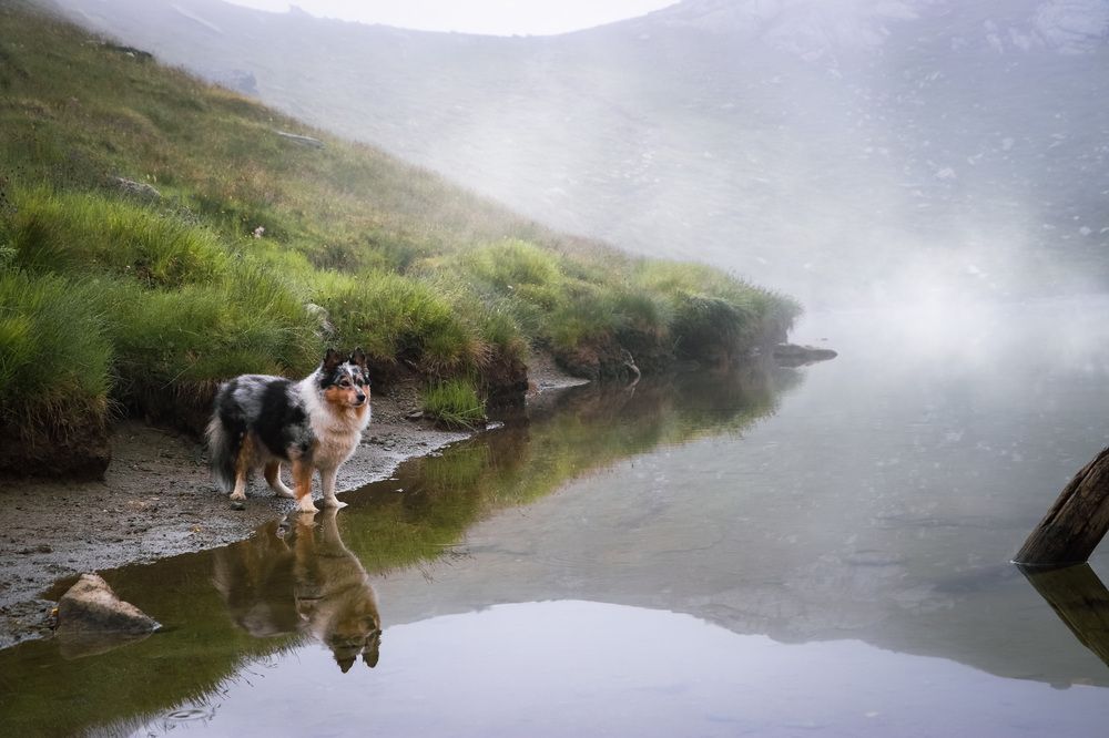 Photograph by Sarah Göhler