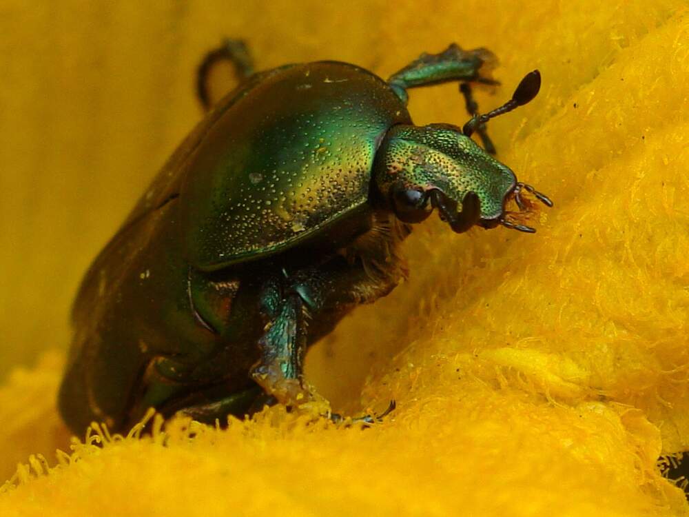 Фотография автора Павел Попов