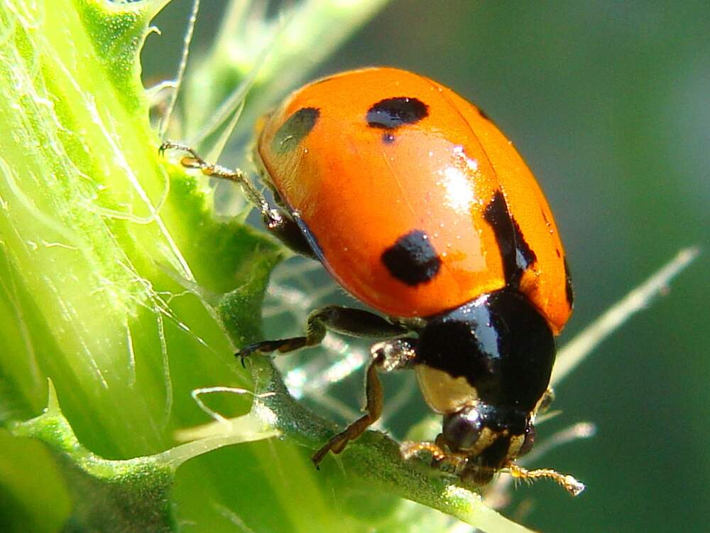 Фотография автора Павел Попов