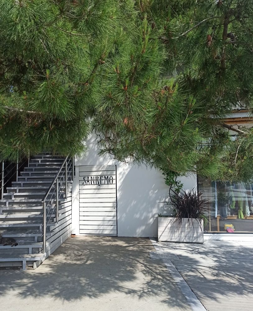 Фотография автора Юлия Сурина