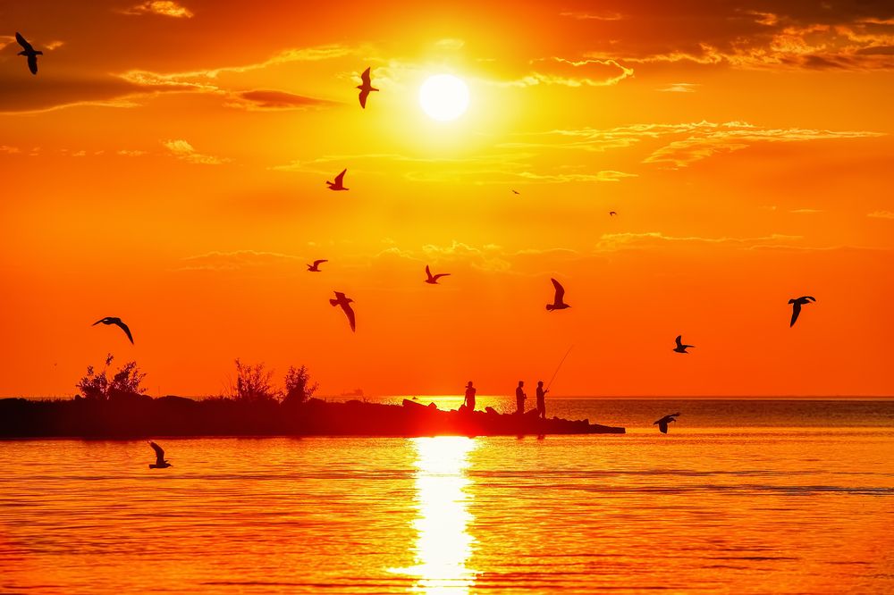 Photograph by Владимир Колесников