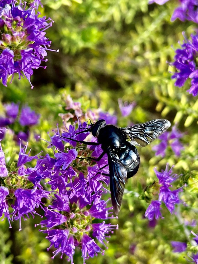 Photograph by Eleni Christogianni