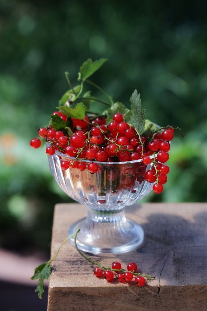 Красное лето.