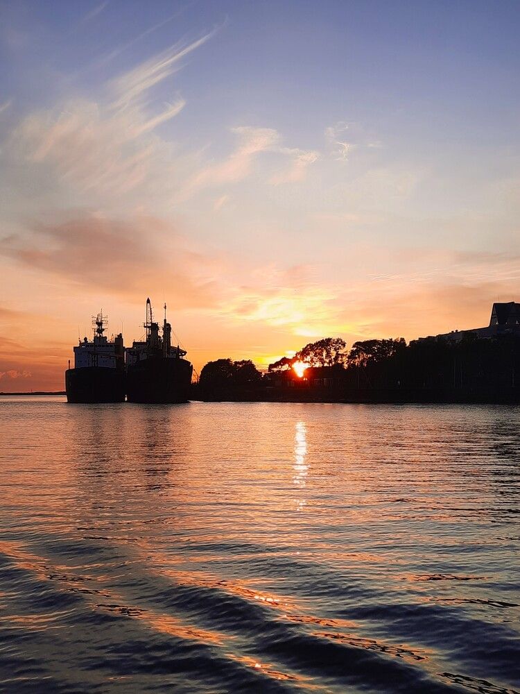 Фотография автора Елена Пикатова