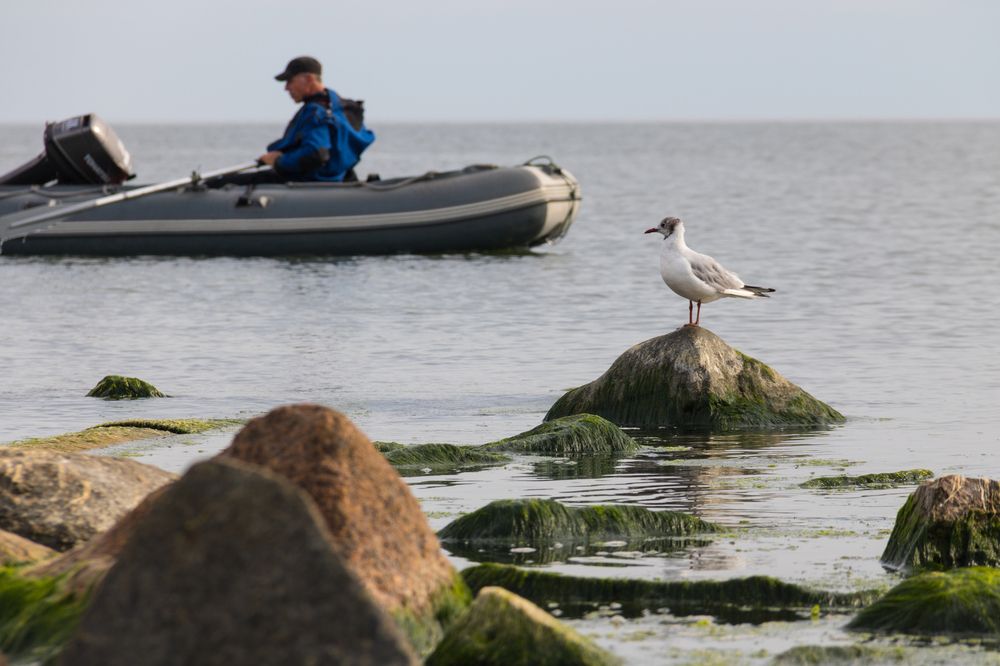 Photograph by Вячеслав Рудинский