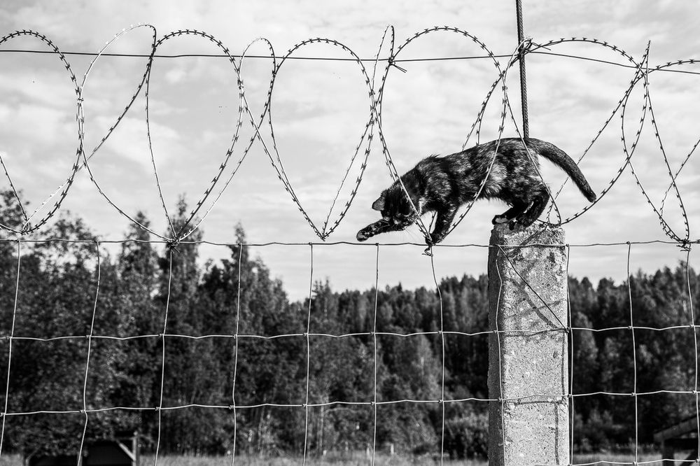 Фотография автора Чистякова Валерия