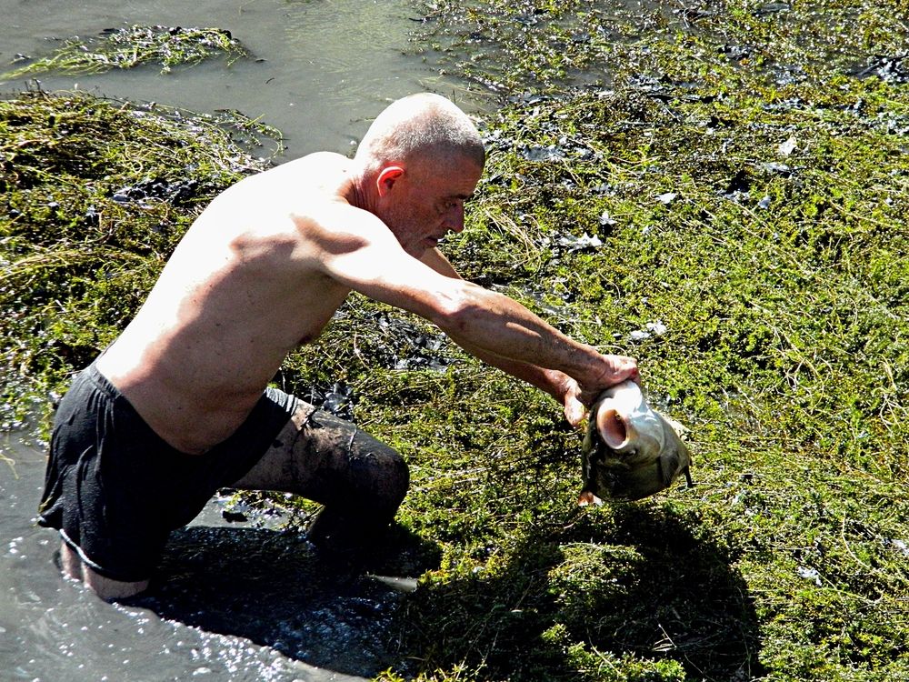 Photograph by Сергей Рапопорт