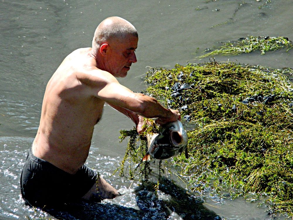 Photograph by Сергей Рапопорт