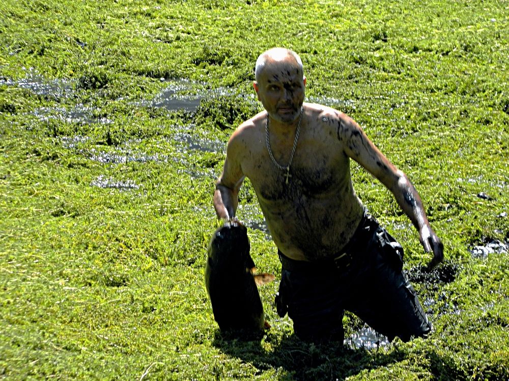 Photograph by Сергей Рапопорт