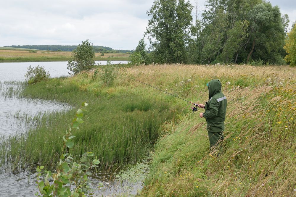 Photograph by Андрей Пляскин