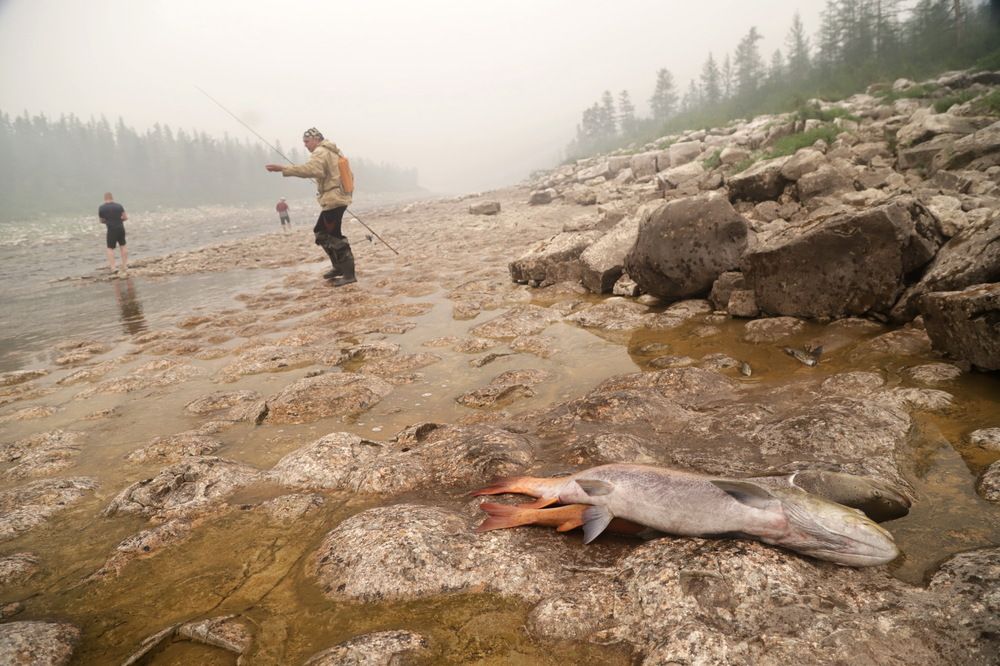 Photograph by Лада Денисова