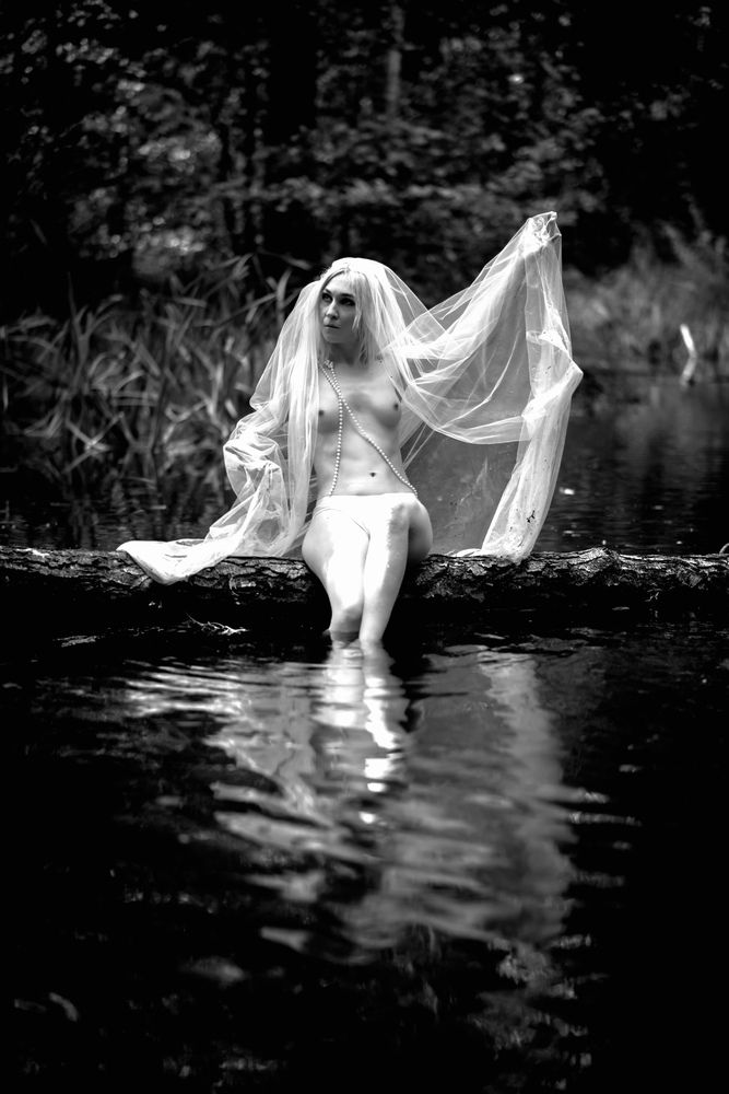 Photograph by Drew_Photos