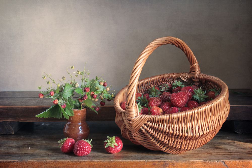 Фотография автора Ганина Галина