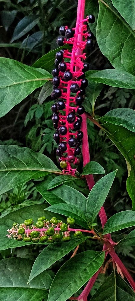 Photograph by Оксана Радзиевская