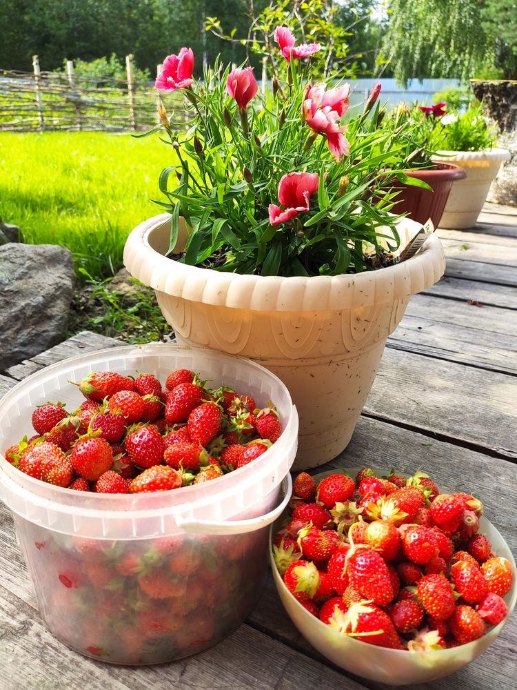 Photograph by Оксана Радзиевская