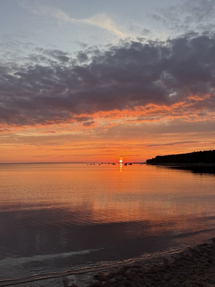 Photograph by Бондаренко Светлана