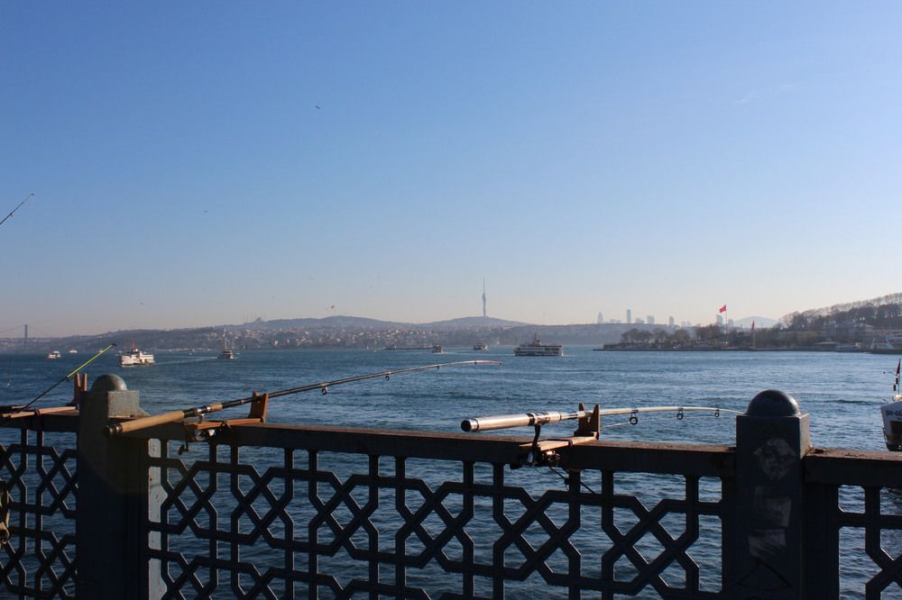 Photograph by Илья Смирнов