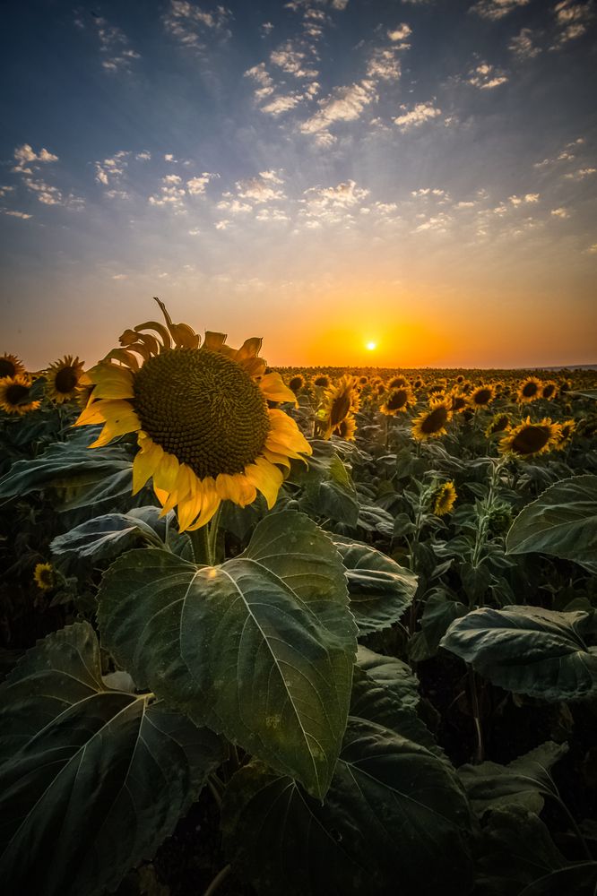 Photograph by Филипп Бабенко