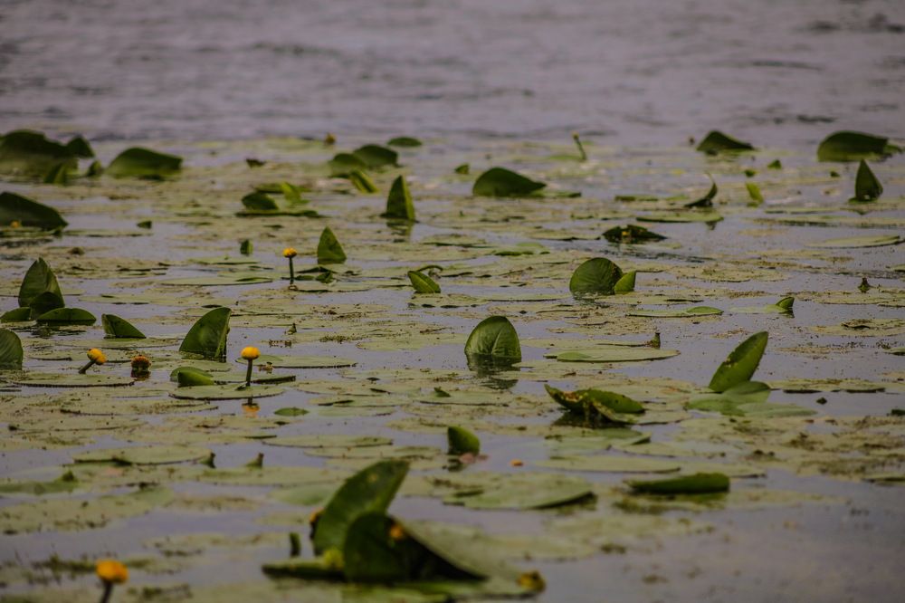 Photograph by Оксана Панина