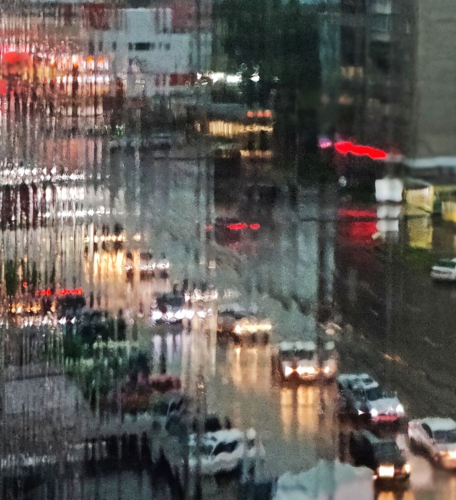 Photograph by Olena Chertous