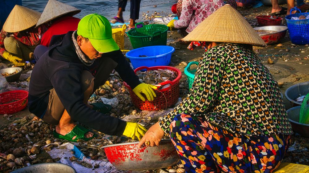 Фотография автора Nam Phạm