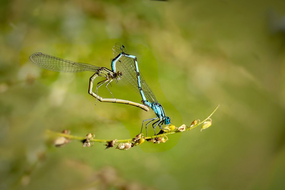 Photograph by Шруб (Беляева) Татьяна