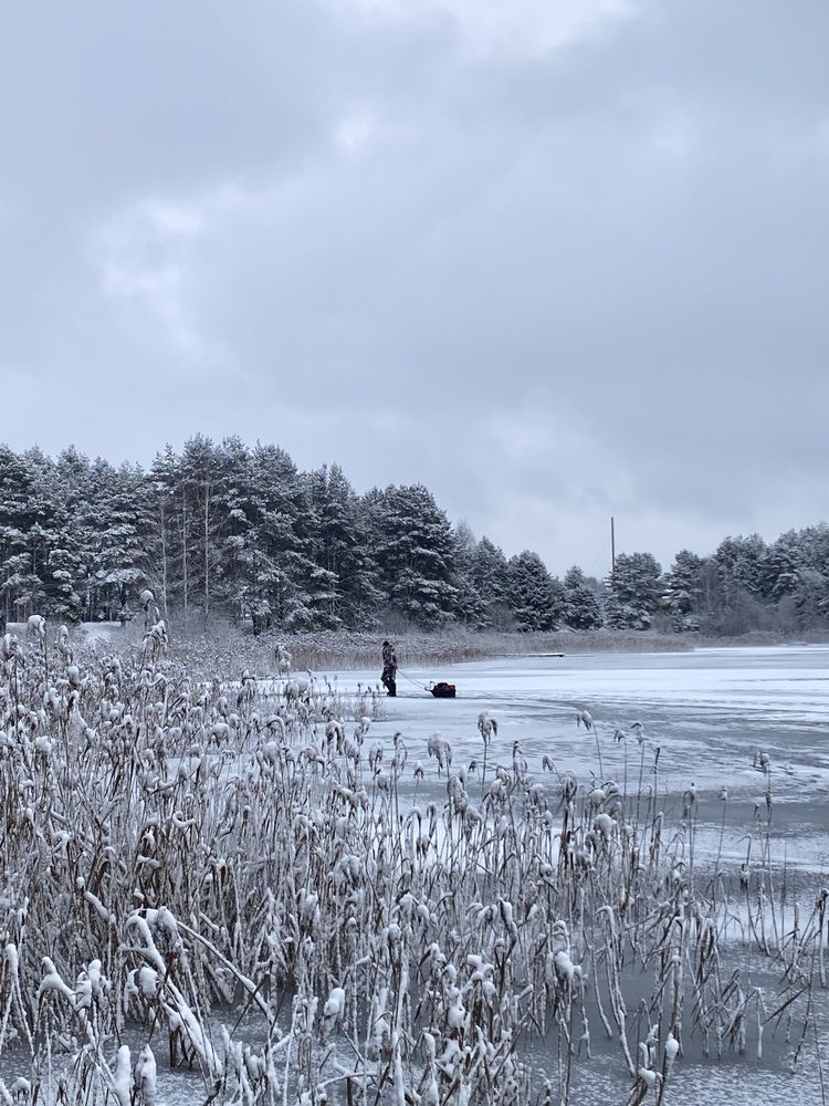 Photograph by Светлана Долганова
