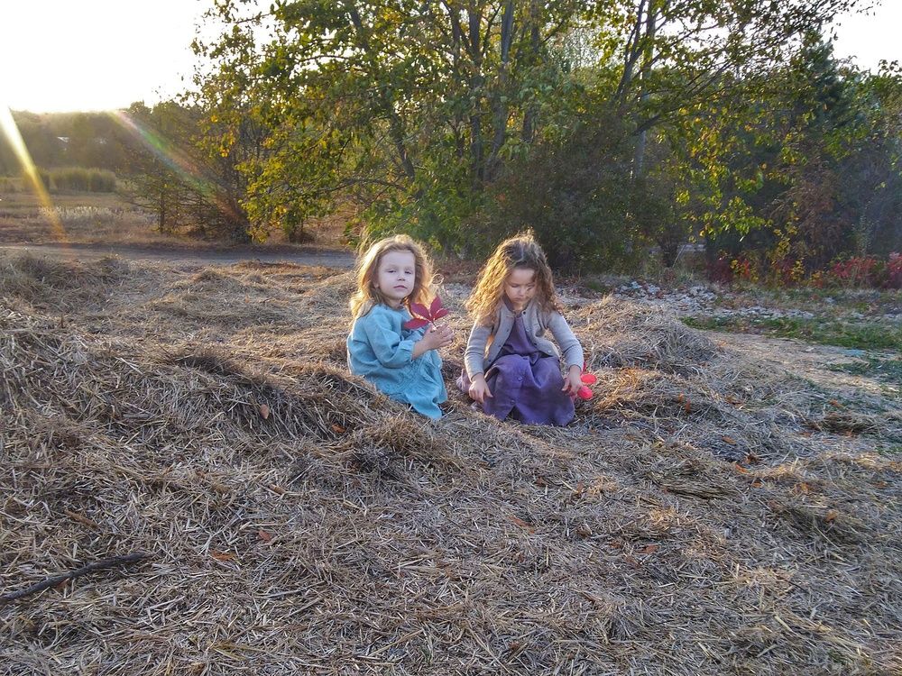 Photograph by Зорин Миша