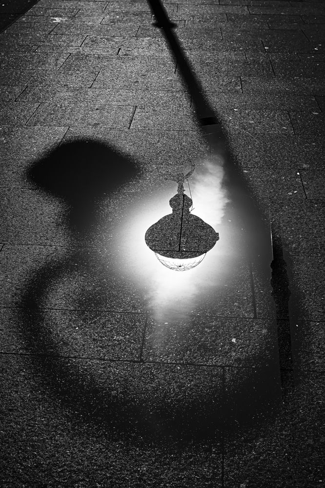 Photograph by Dimitri Bakhtadze