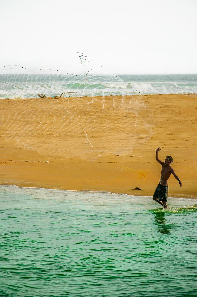 Between Sand and Sea