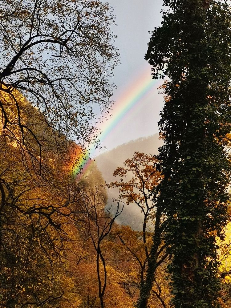 Photograph by Ирина Садовникова