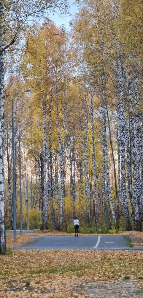 Photograph by Kim Natasha