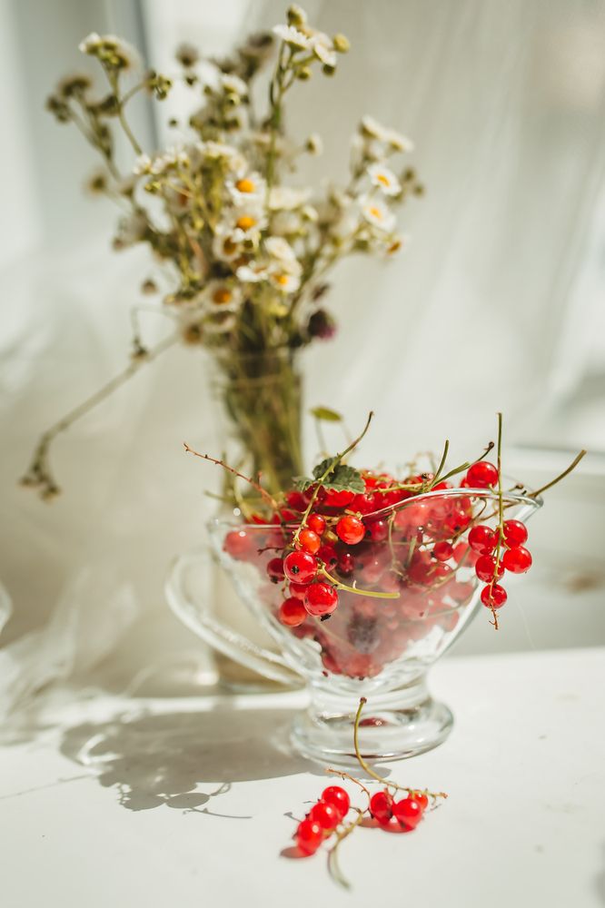 Photograph by Алена