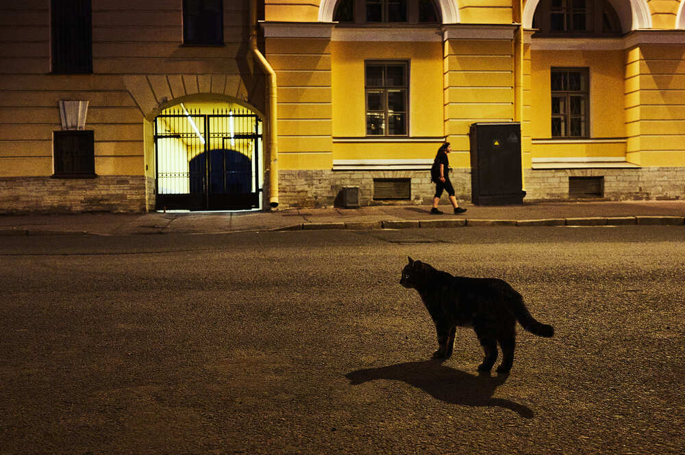 Photograph by Аверина Елена