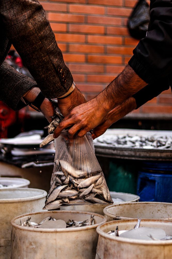 Photograph by Mehrad Mallaei