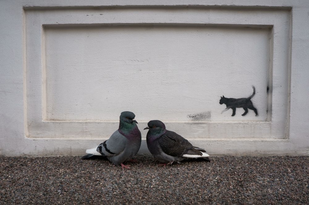 Photograph by Nikolay Surovtsev