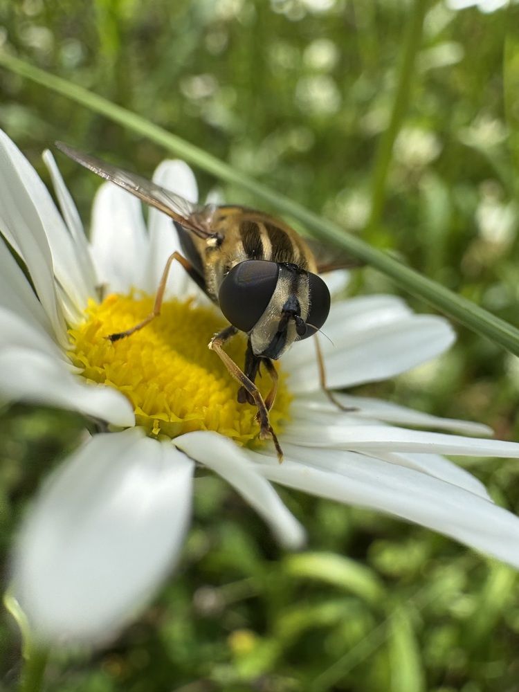 Photograph by Ольга Логарева