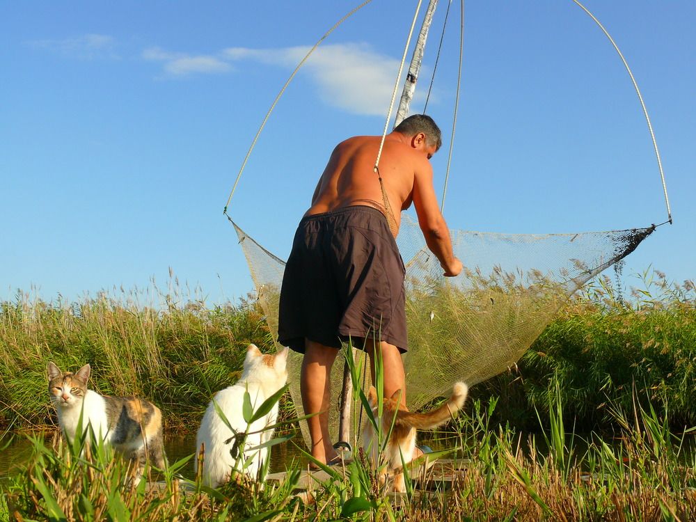 В ожидании улова.