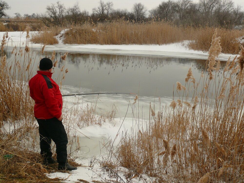 Фотография автора Анатолий Борисов