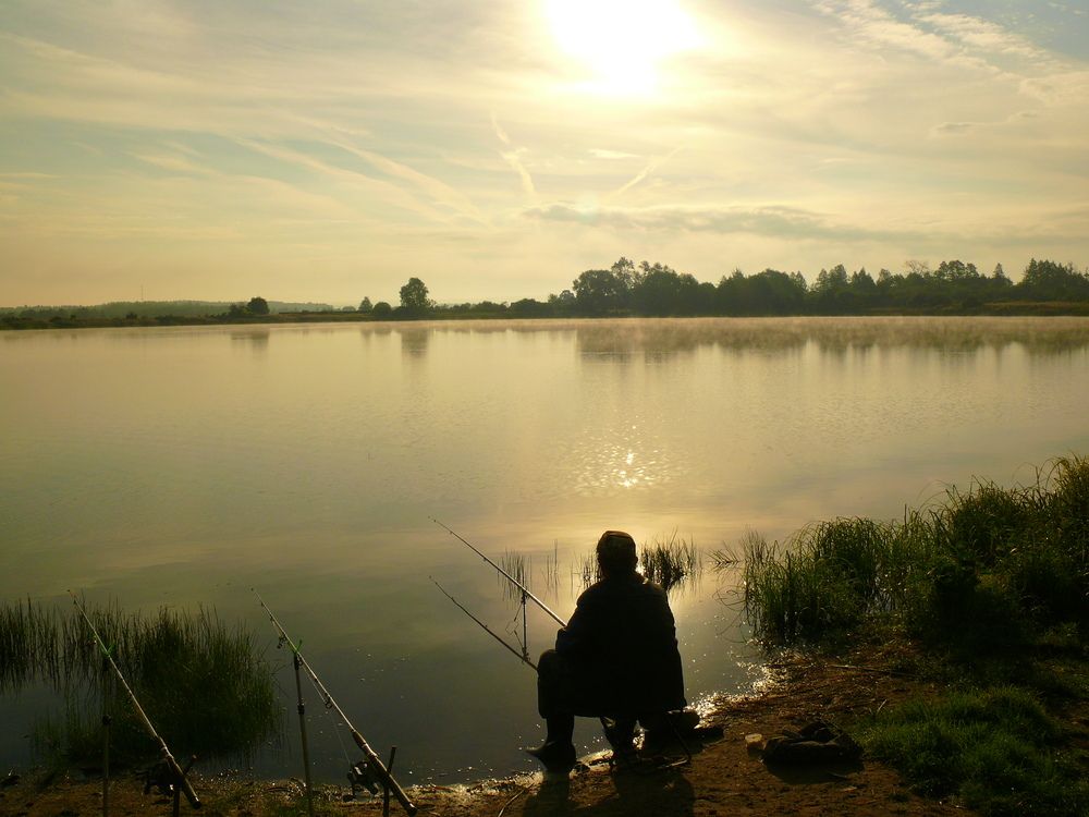 Фотография автора Анатолий Борисов