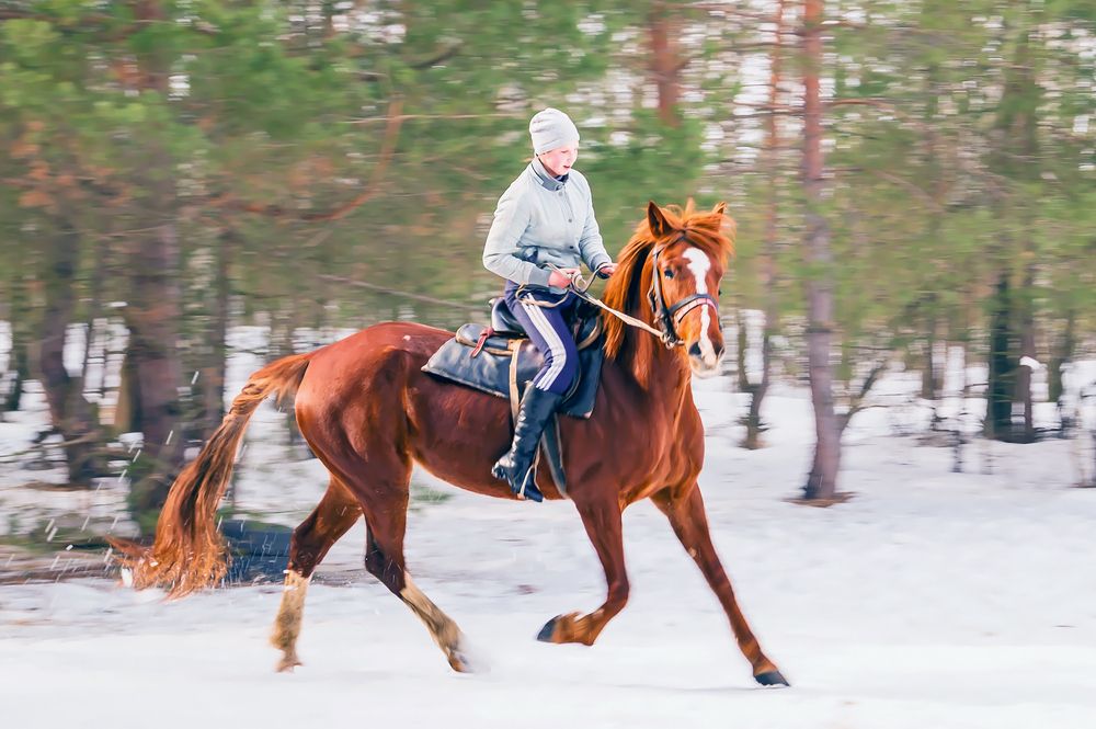 Верховая езда