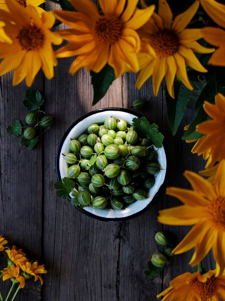 Photograph by Екатерина Брехова