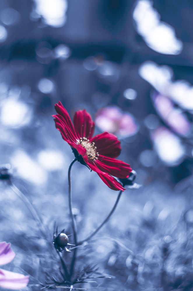 Photograph by Любовь Бусова