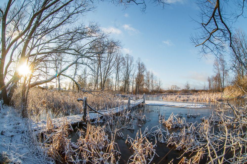 Photograph by Евгений Ермаковец