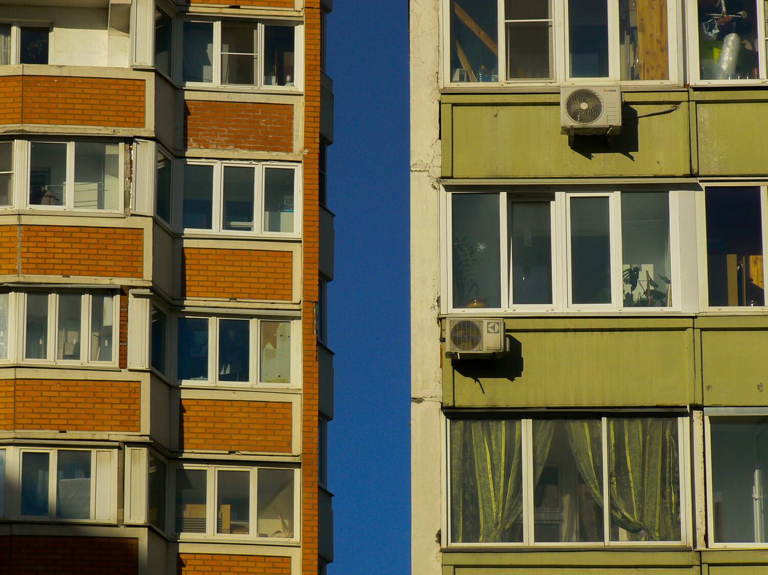 Photo #12391739