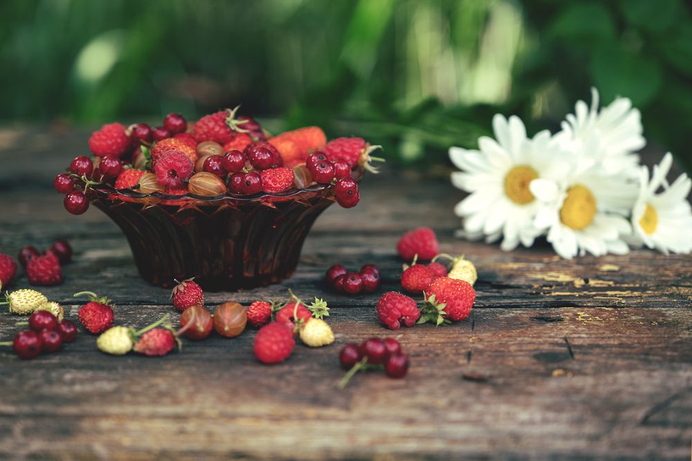 Photograph by Светлана Шахин