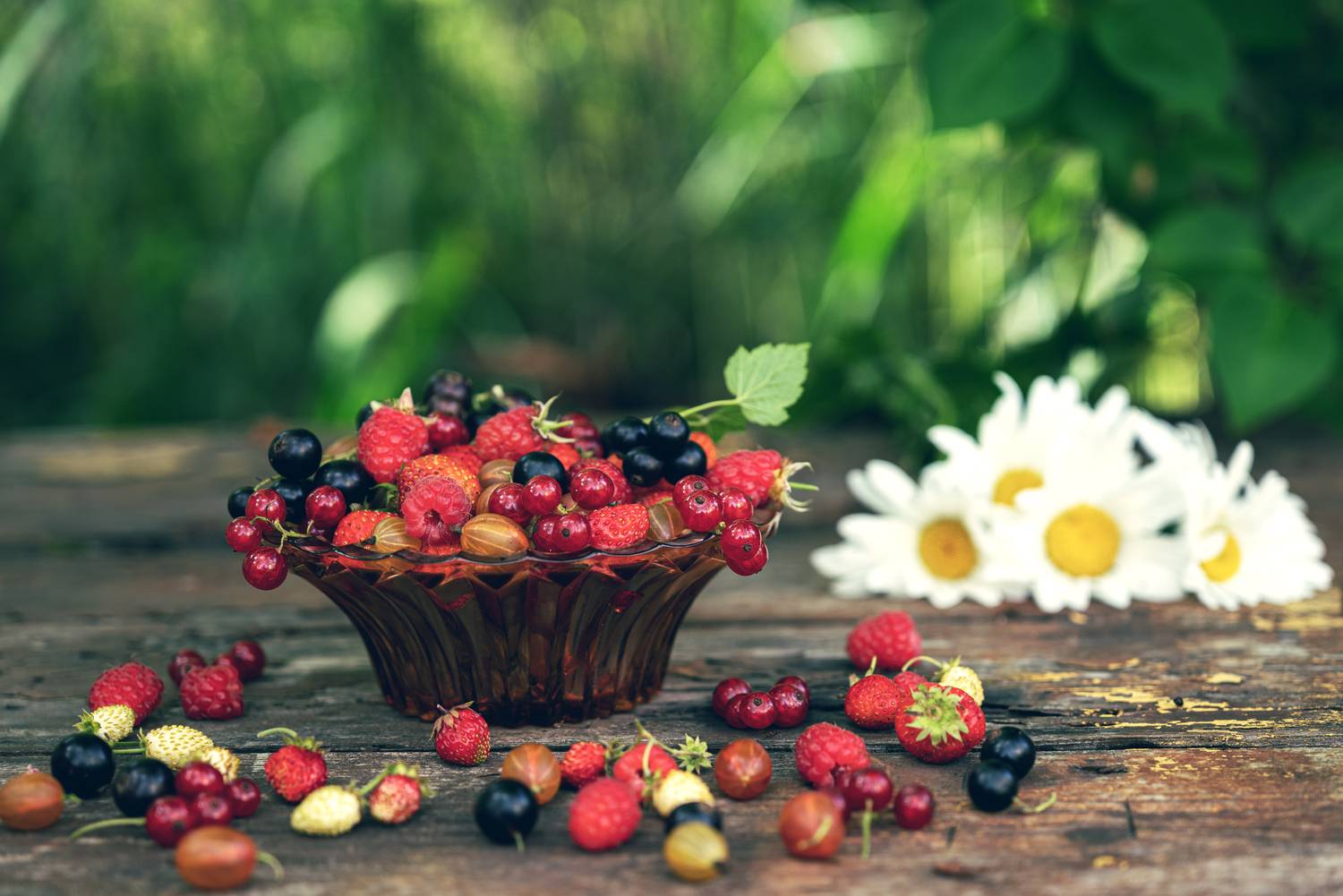 Фотография #12391808